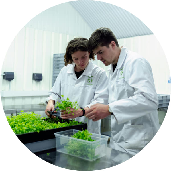 High-resolution image of scientists working with plants in a laboratory.